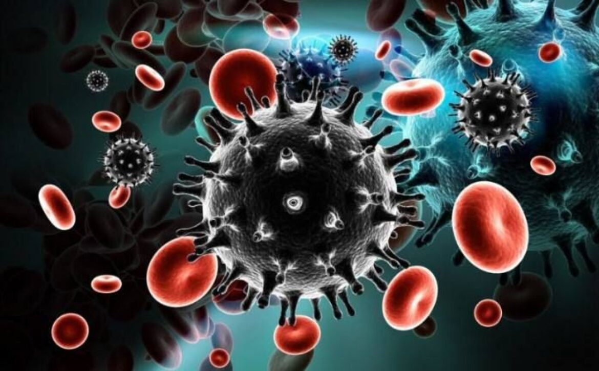 472189106_2010886796097146_1819201189427455424_n