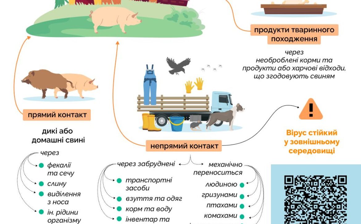 525991312_1037229981899047_1165990909913740863_n