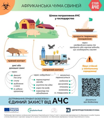 АЧС, що потрібно знати