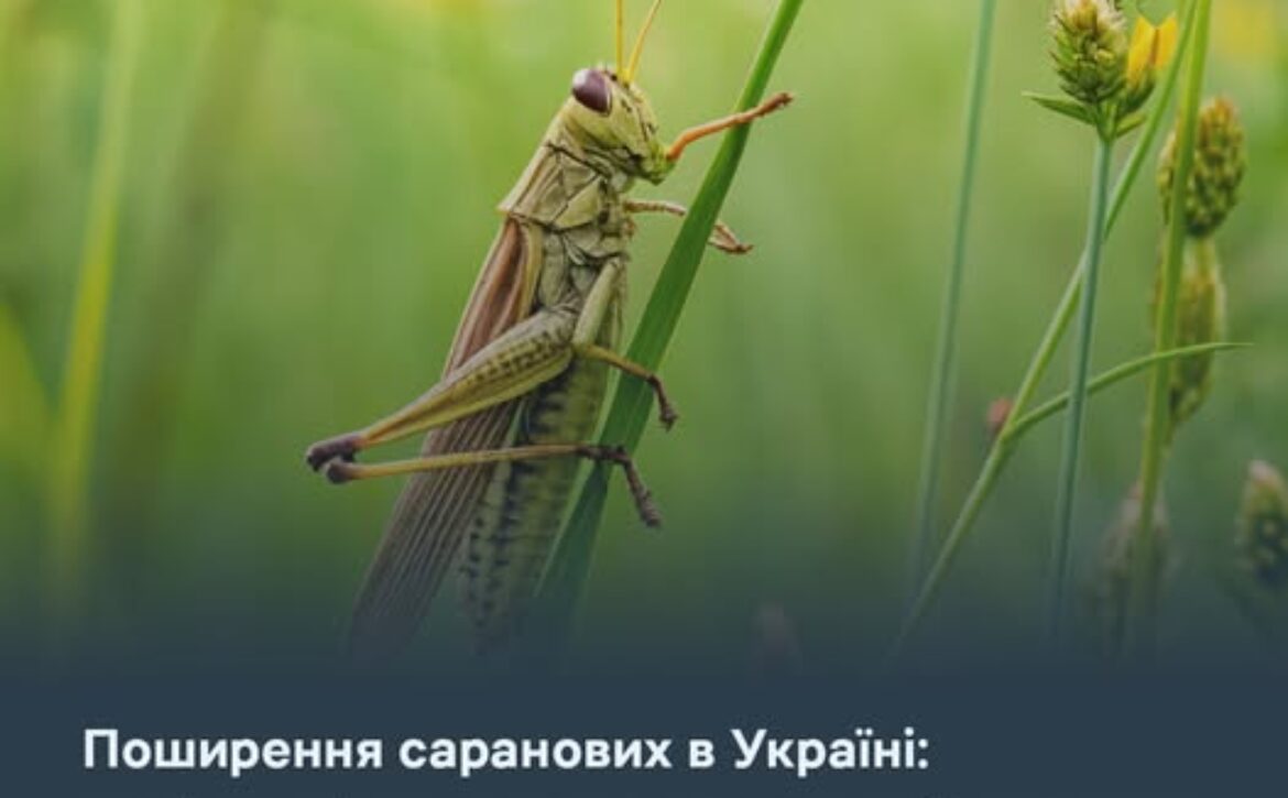 526476525_1037235458565166_3125135068672916841_n