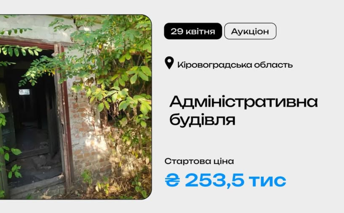 image (7)