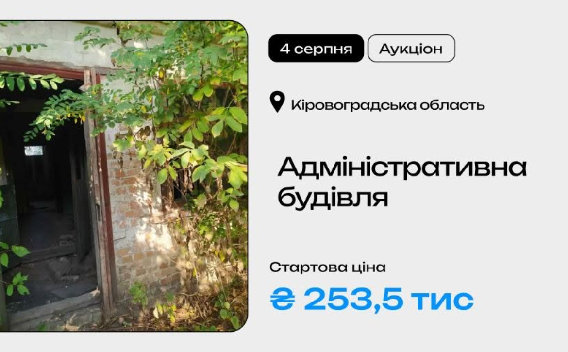 image (1)